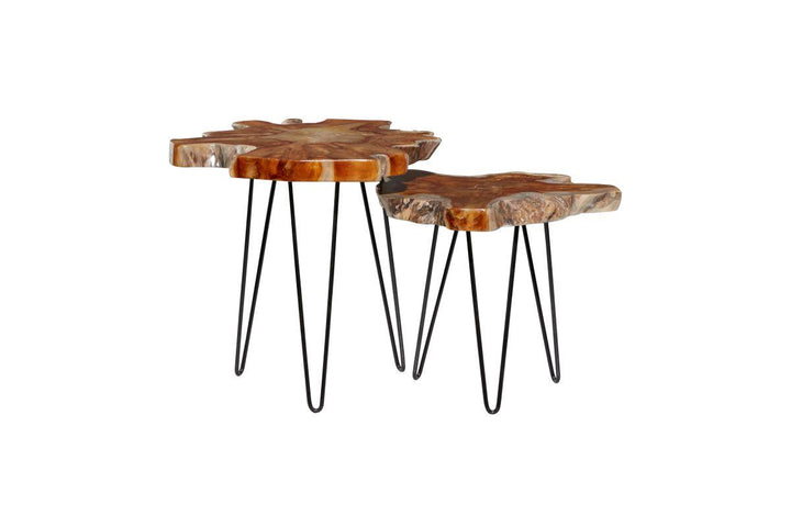 37134 End Table (Set of 2)